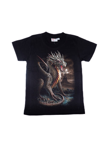 Kids Dragon T shirt